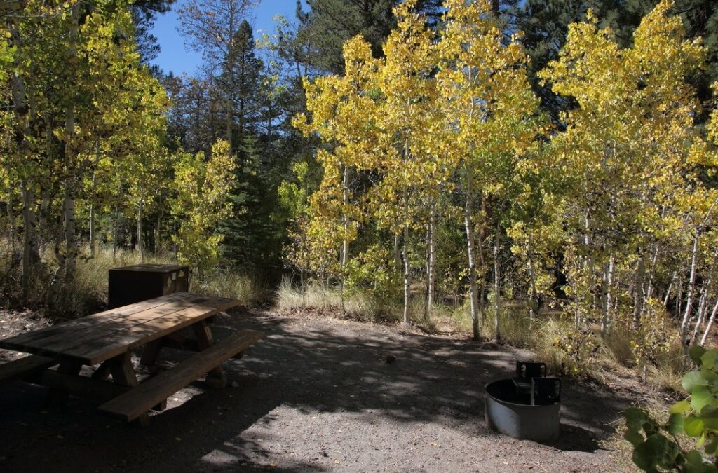 11 Best Campgrounds To View Fall Foliage in the Eastern Sierra