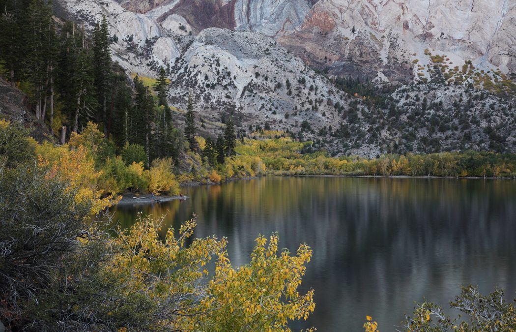 Mammoth Lakes Camping in the Fall: 15 Great Campgrounds To Enjoy Fall Color Near Mammoth, Convict Lake, and Beyond